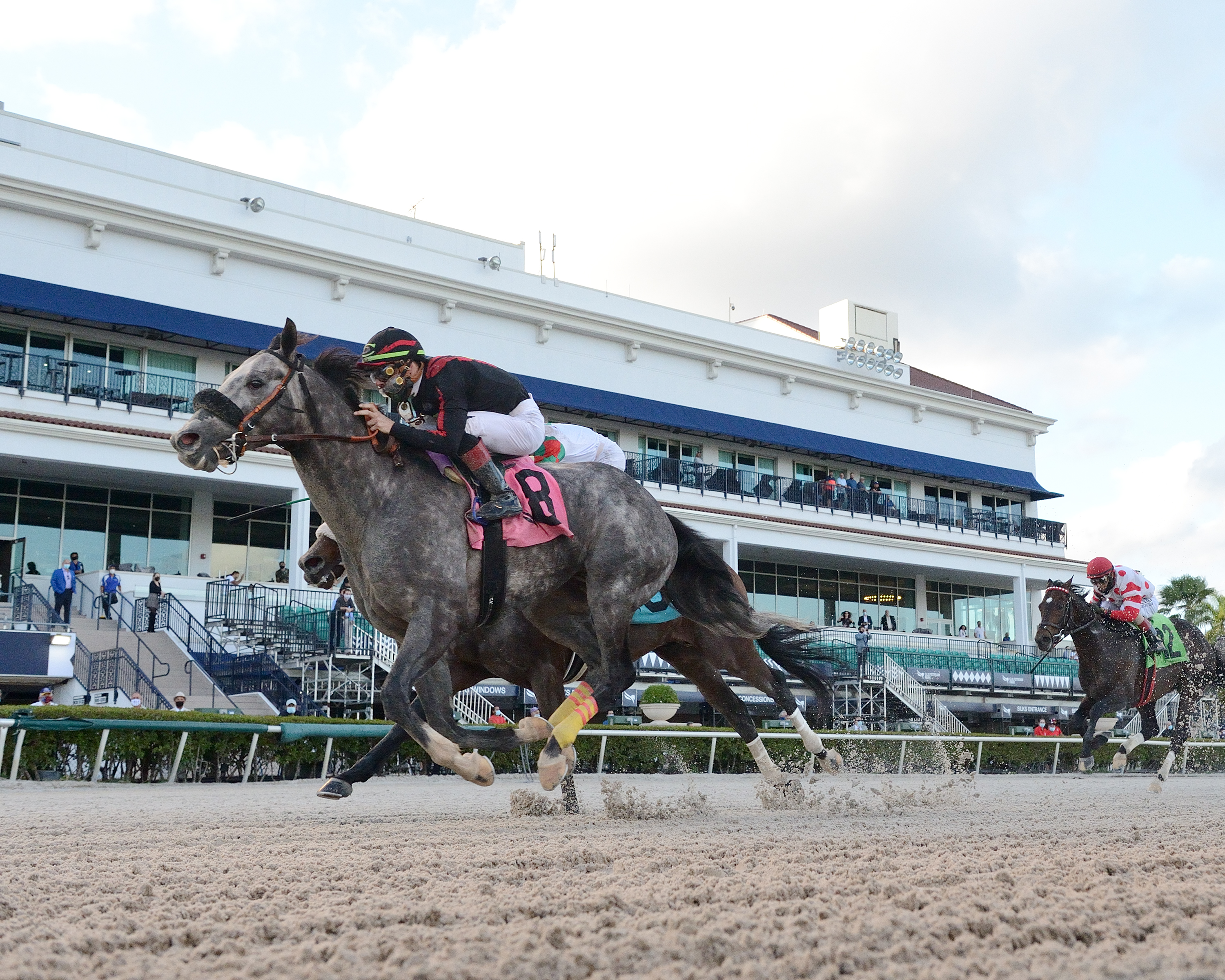 Sleepy Eyes Todd wins Mr. Prospector 12-19-2020