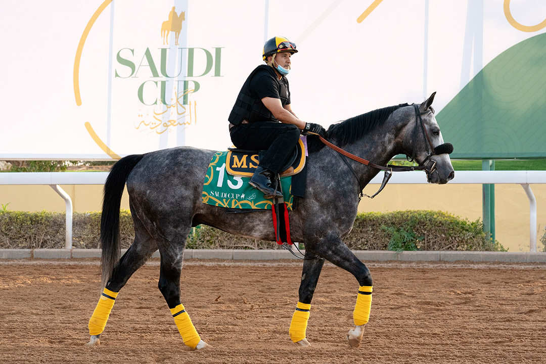 Sleepy Eyes Todd trains at King Abdulaziz Racecourse on Feb. 17