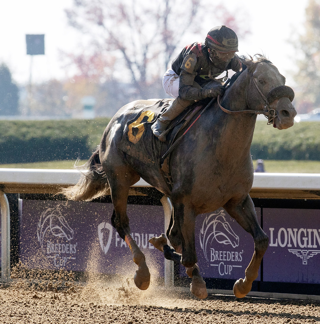 Sleepy Eyes Todd wins the 2020 Lafayette Stakes at Keeneland Racecourse