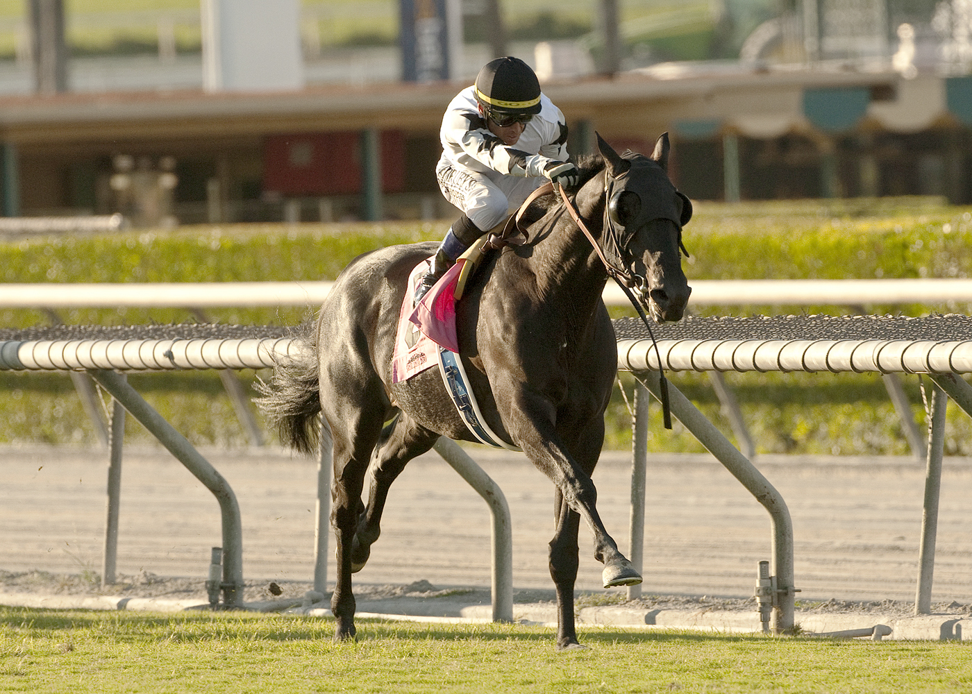 Slim Shadey, John Henry Turf Championship