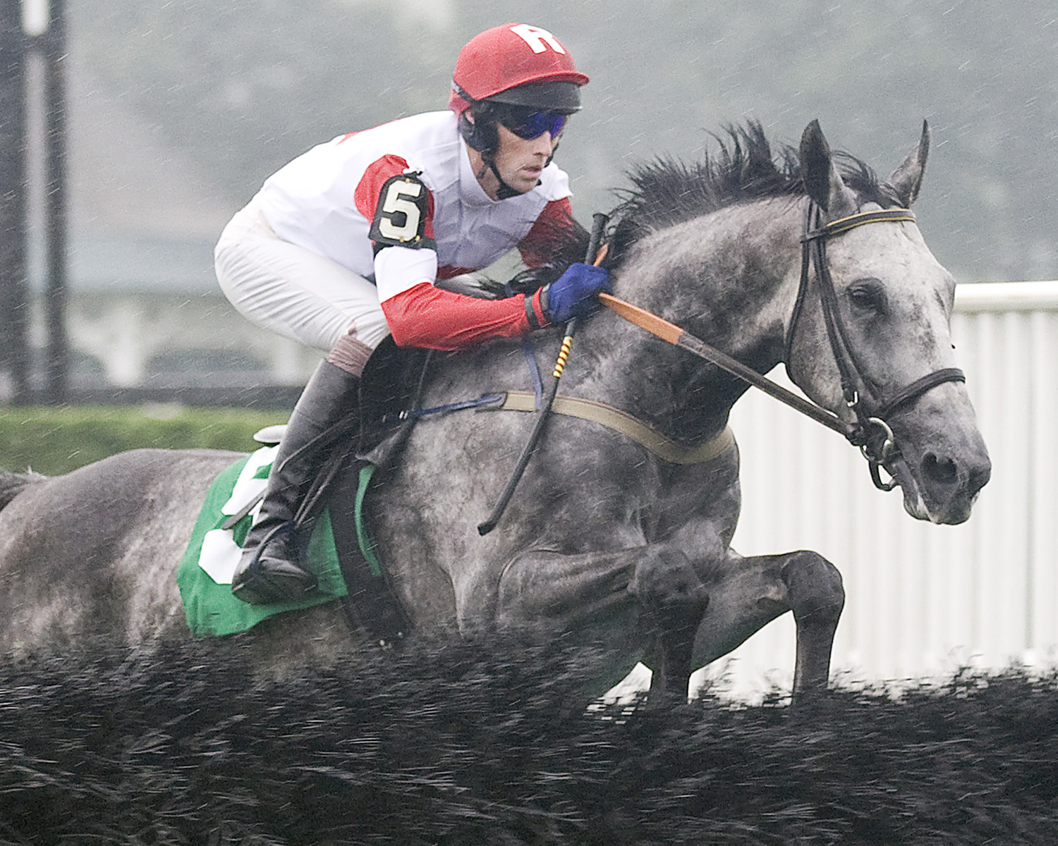 Slip Away - Eclipse Awards