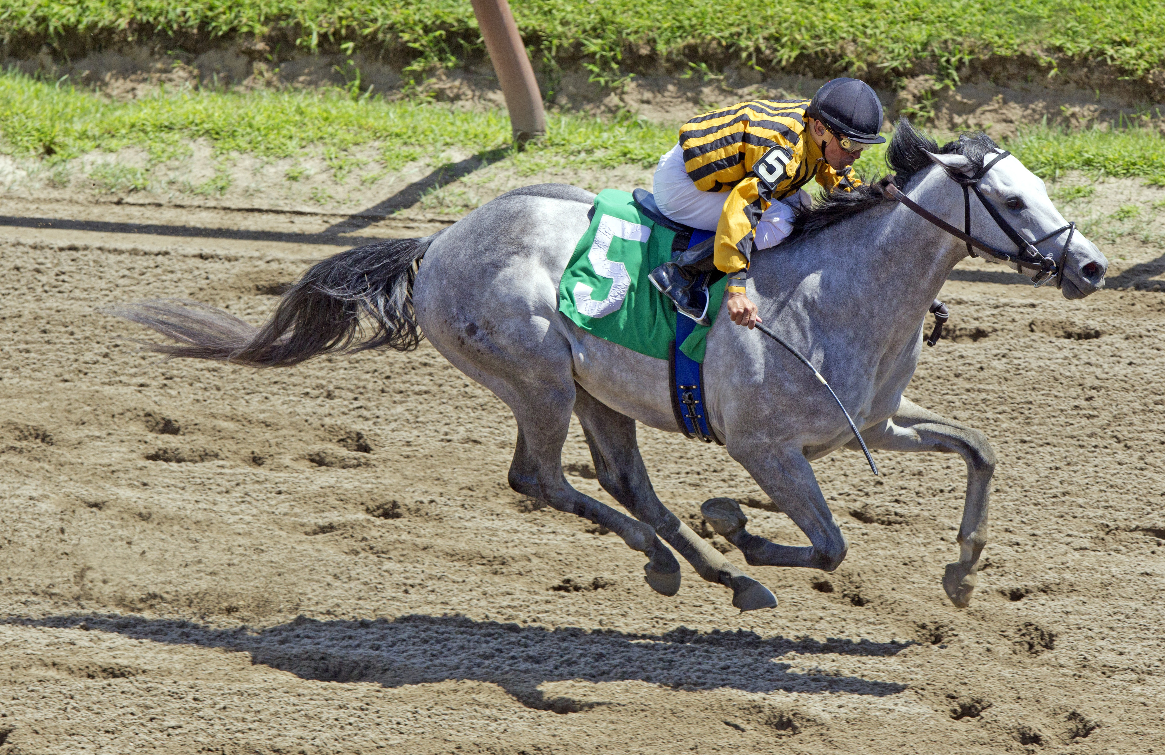 Sliver and Onions wins a maiden race