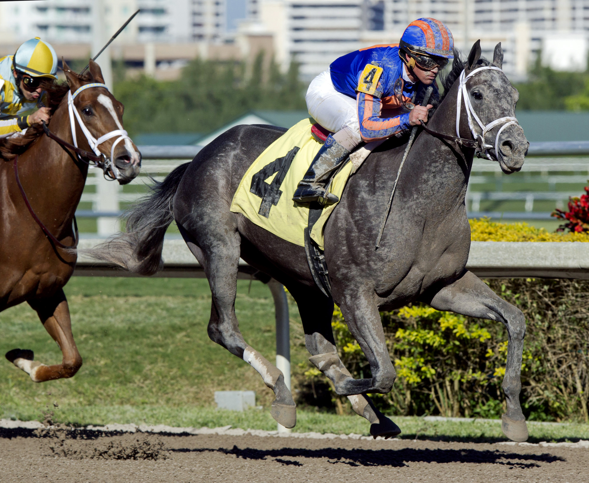 Sloane Square wins a maiden race