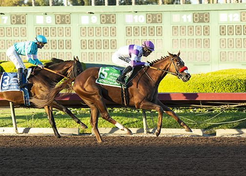 Slow Down Andy wins Los Alamitos Futurity 12-11-2021