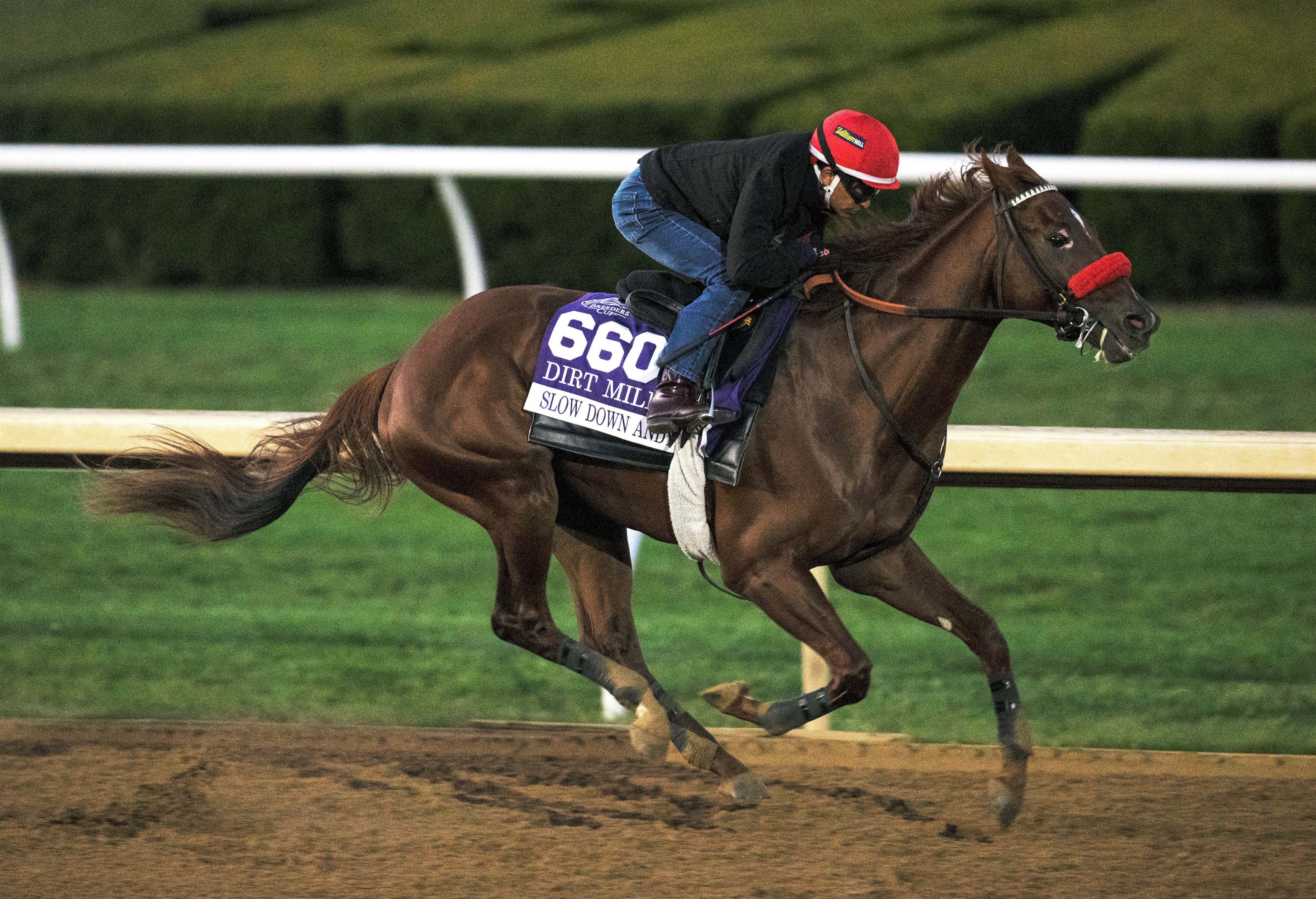 Slow Down Andy breezes at Keeneland Oct 29 2022