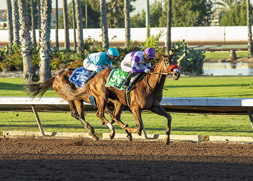 Slow Down Andy wins Los Alamitos Futurity 12-11-2021