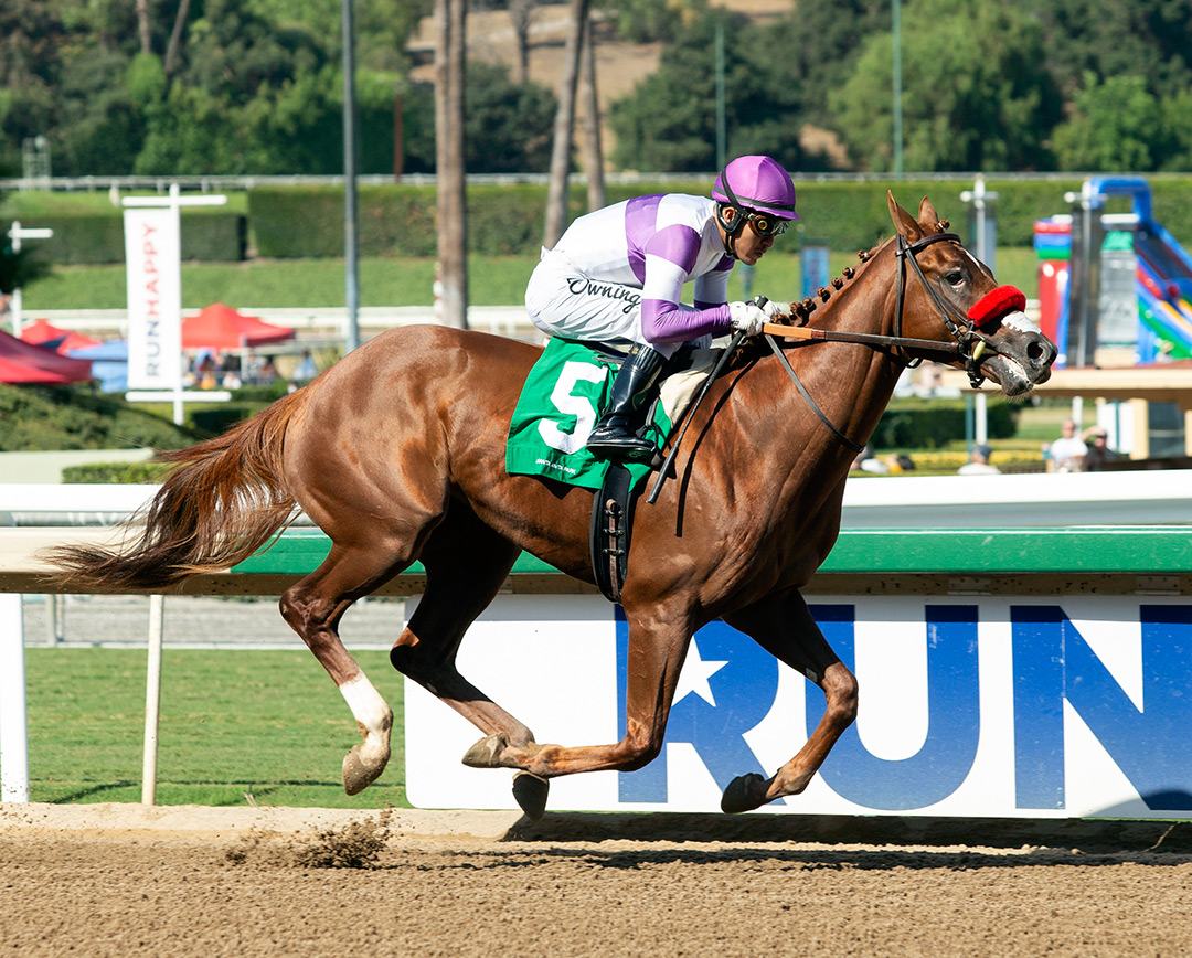 Slow Down Andy wins an Oct. 9 maiden race at Santa Anita