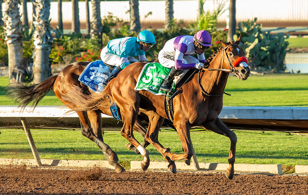 Slow Down Andy wins the 2021 Los Alamitos Futurity at Los Alamitos Race Course
