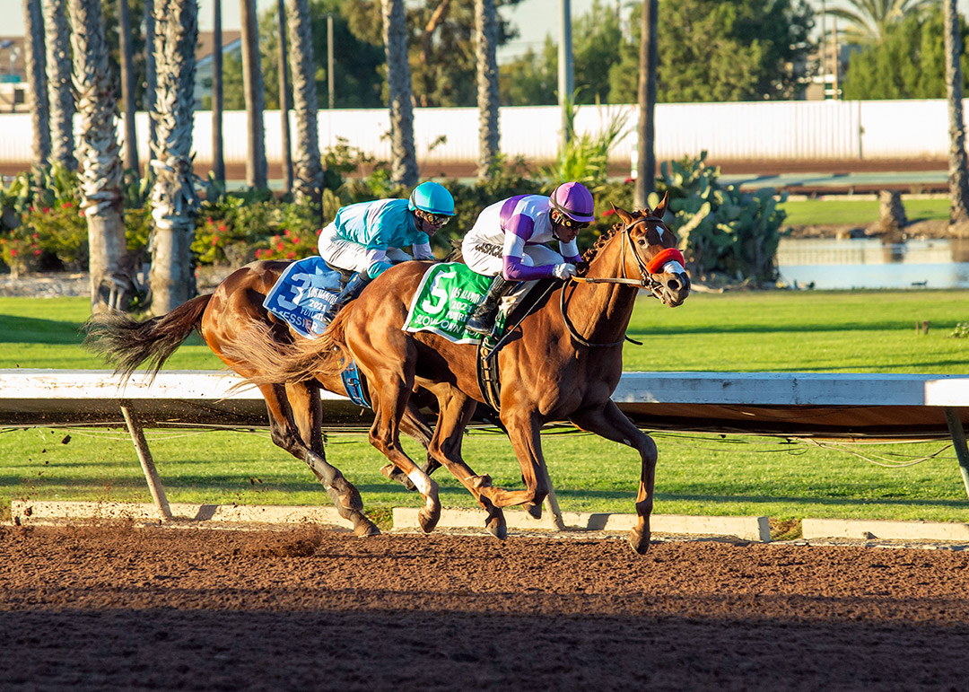 Slow Down Andy wins the 2021 Los Alamitos Futurity at Los Alamitos