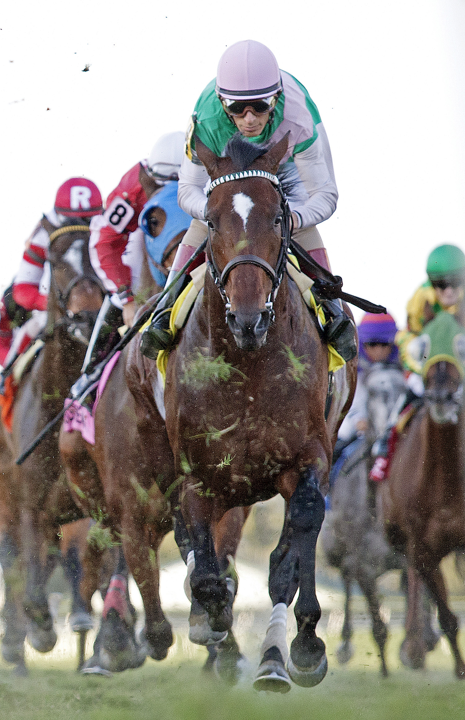 Slumber finishes third in the Mac Diarmida