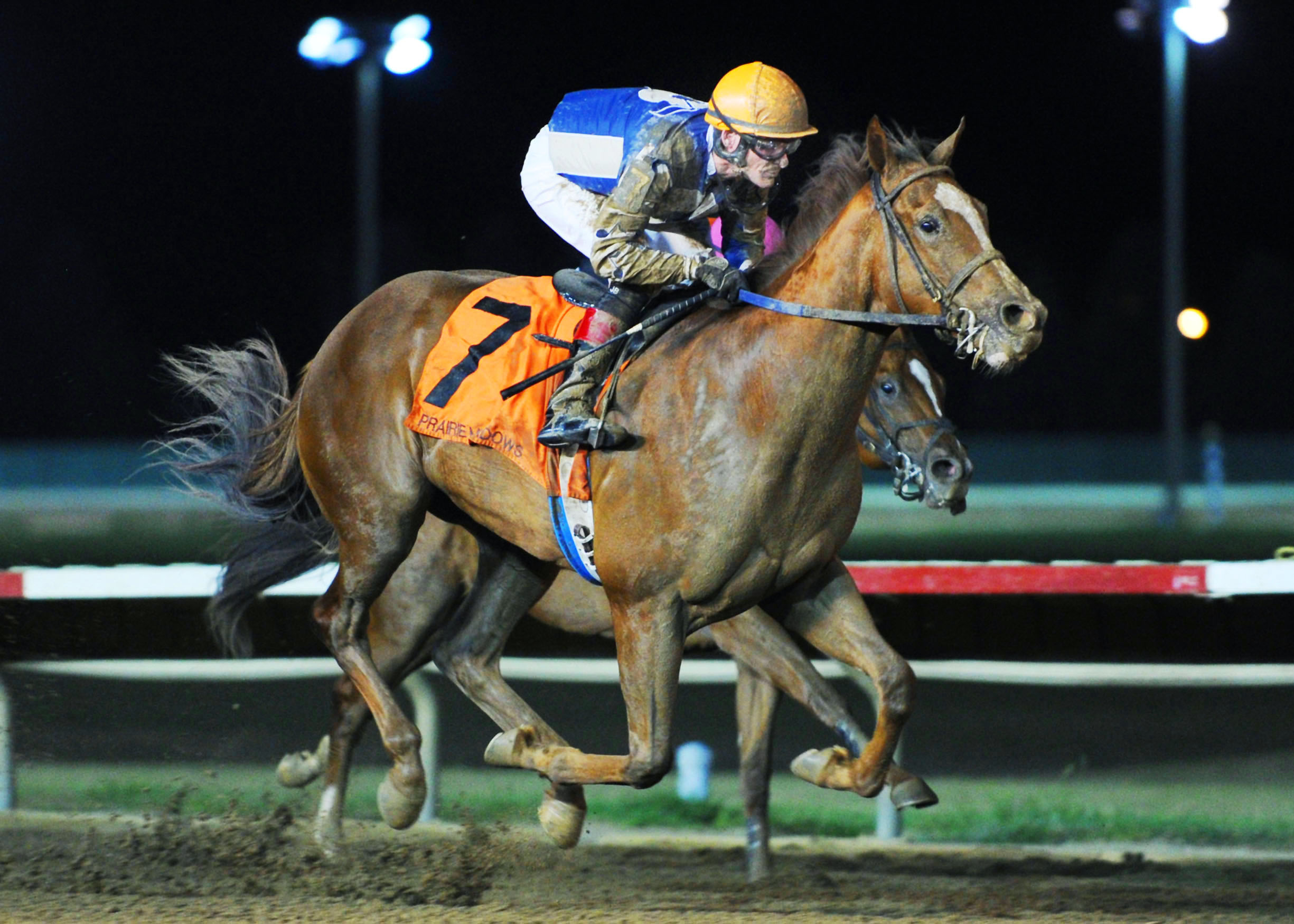Smack Smack wins the 2013 Prairie Meadows Juvenile Mile