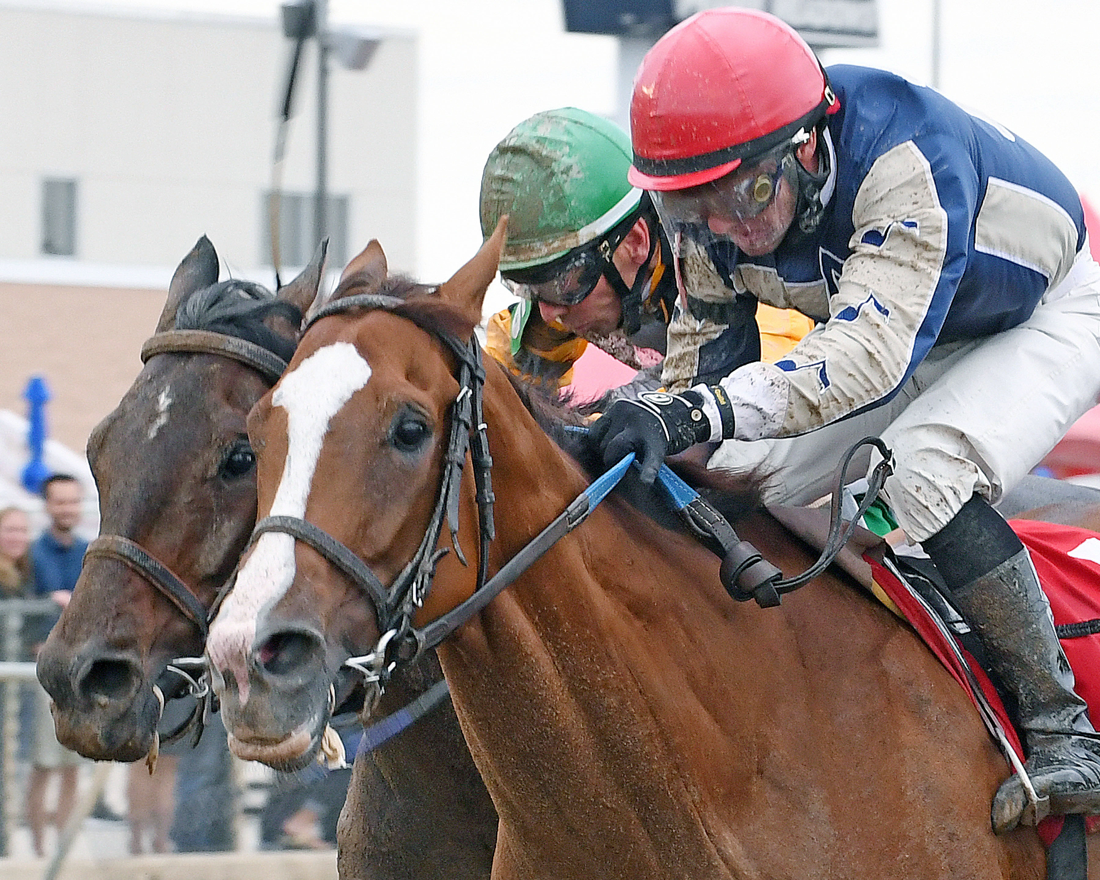 Smack Smack wins the Prairie Meadows Cornhusker