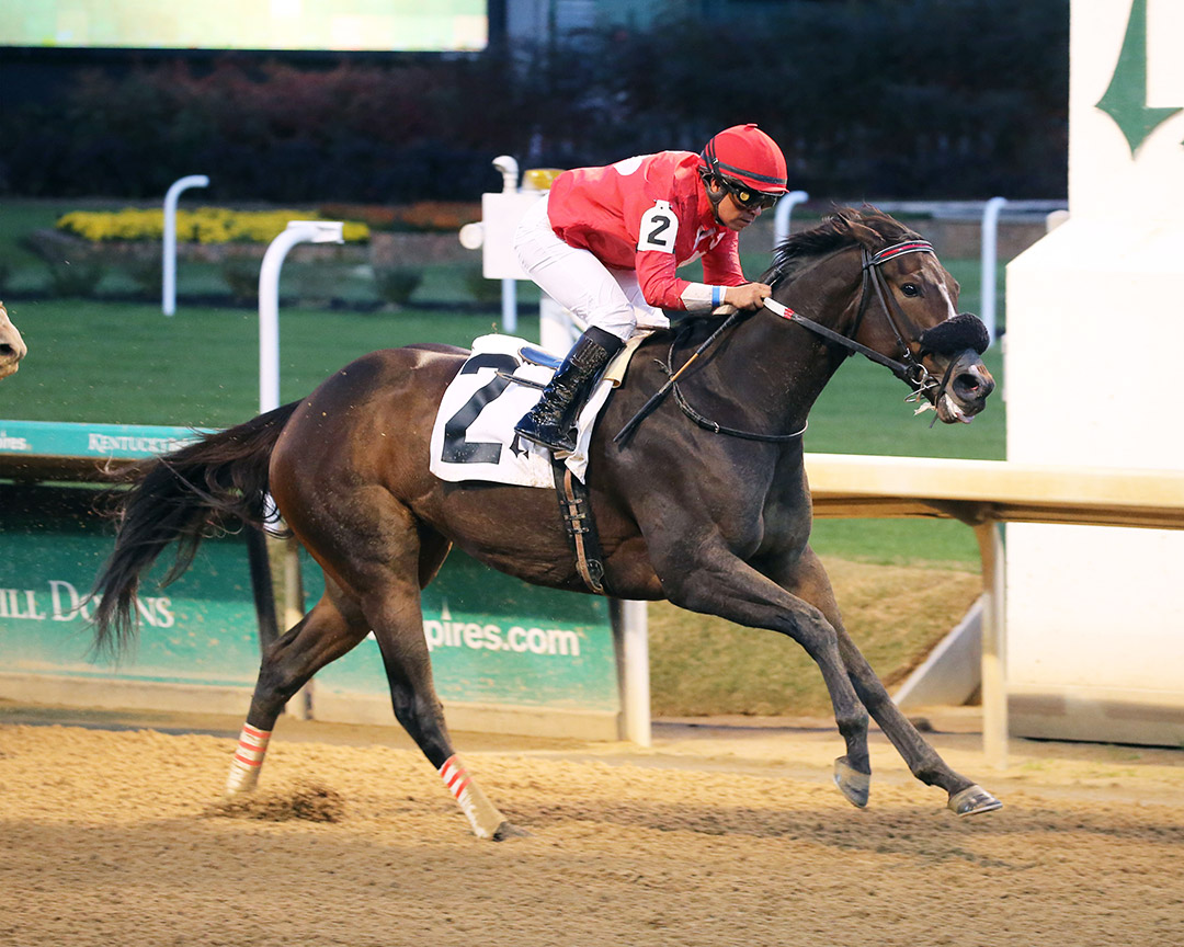Smarmy wins a Nov. 7 maiden race at Churchill Downs