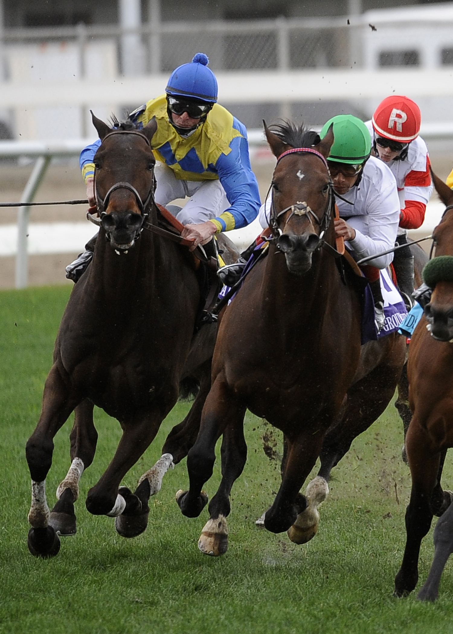 Smart Bid/New Orleans Handicap