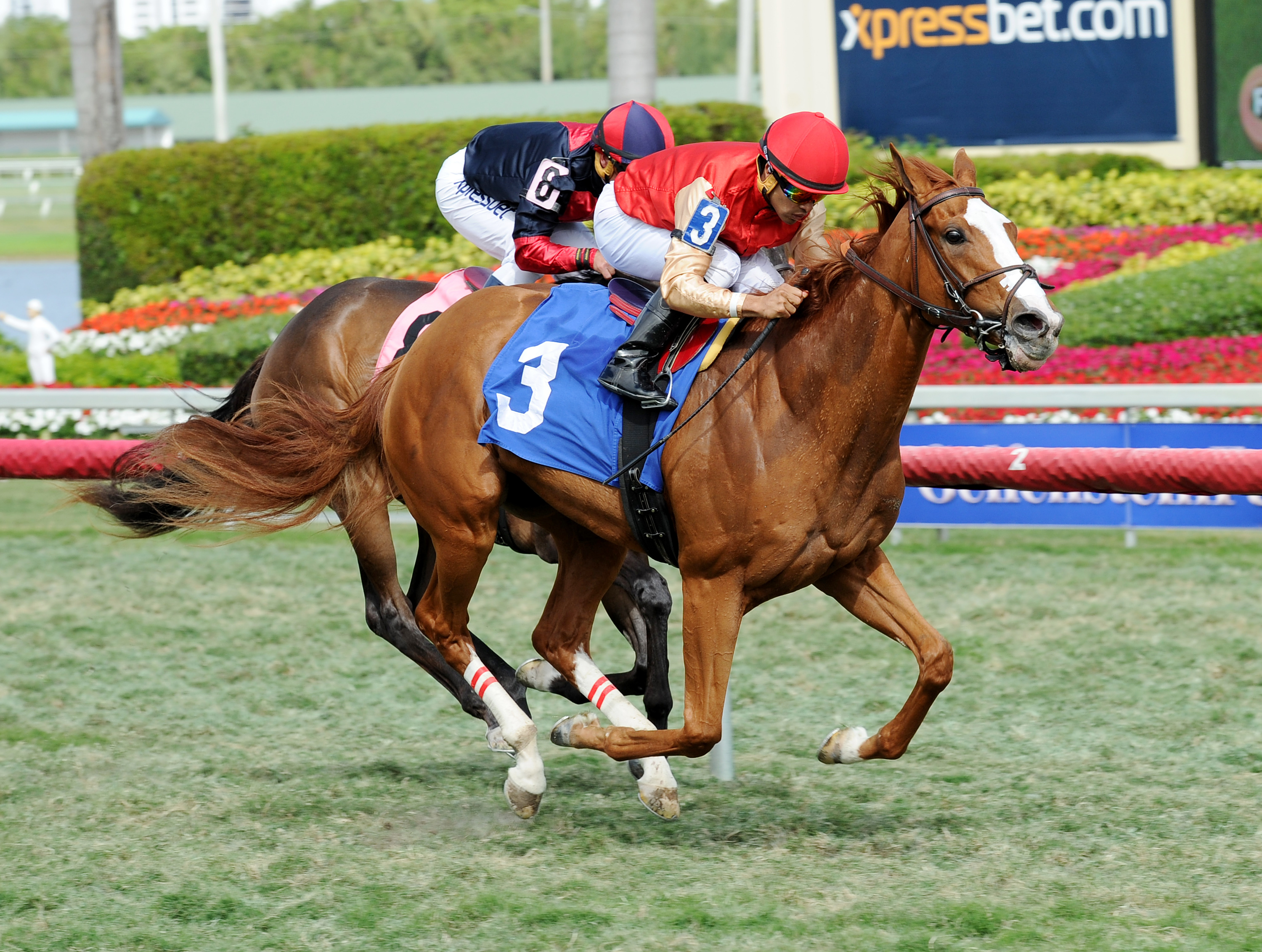 Smart Mission wins a maiden race
