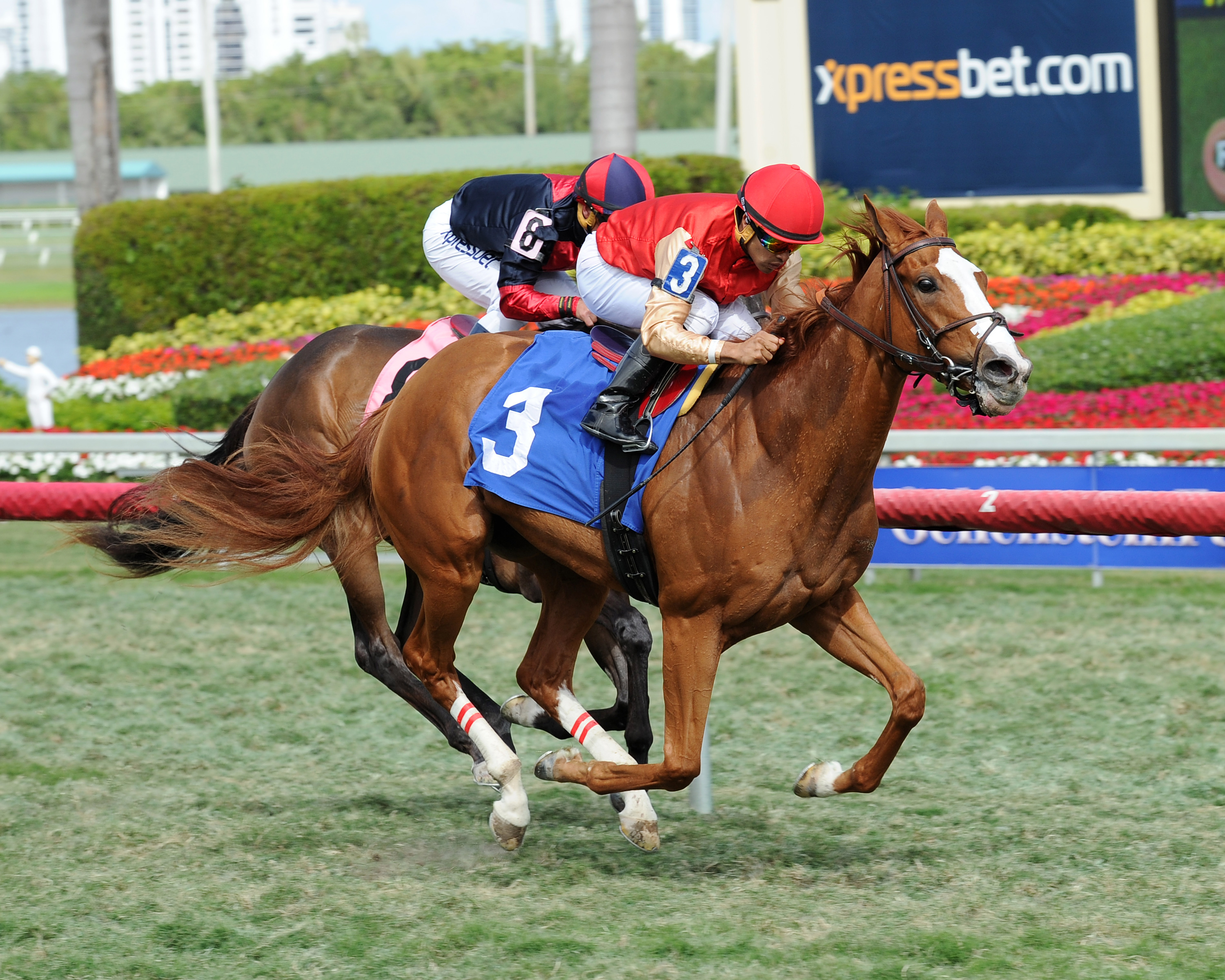 Smart Mission wins a maiden race