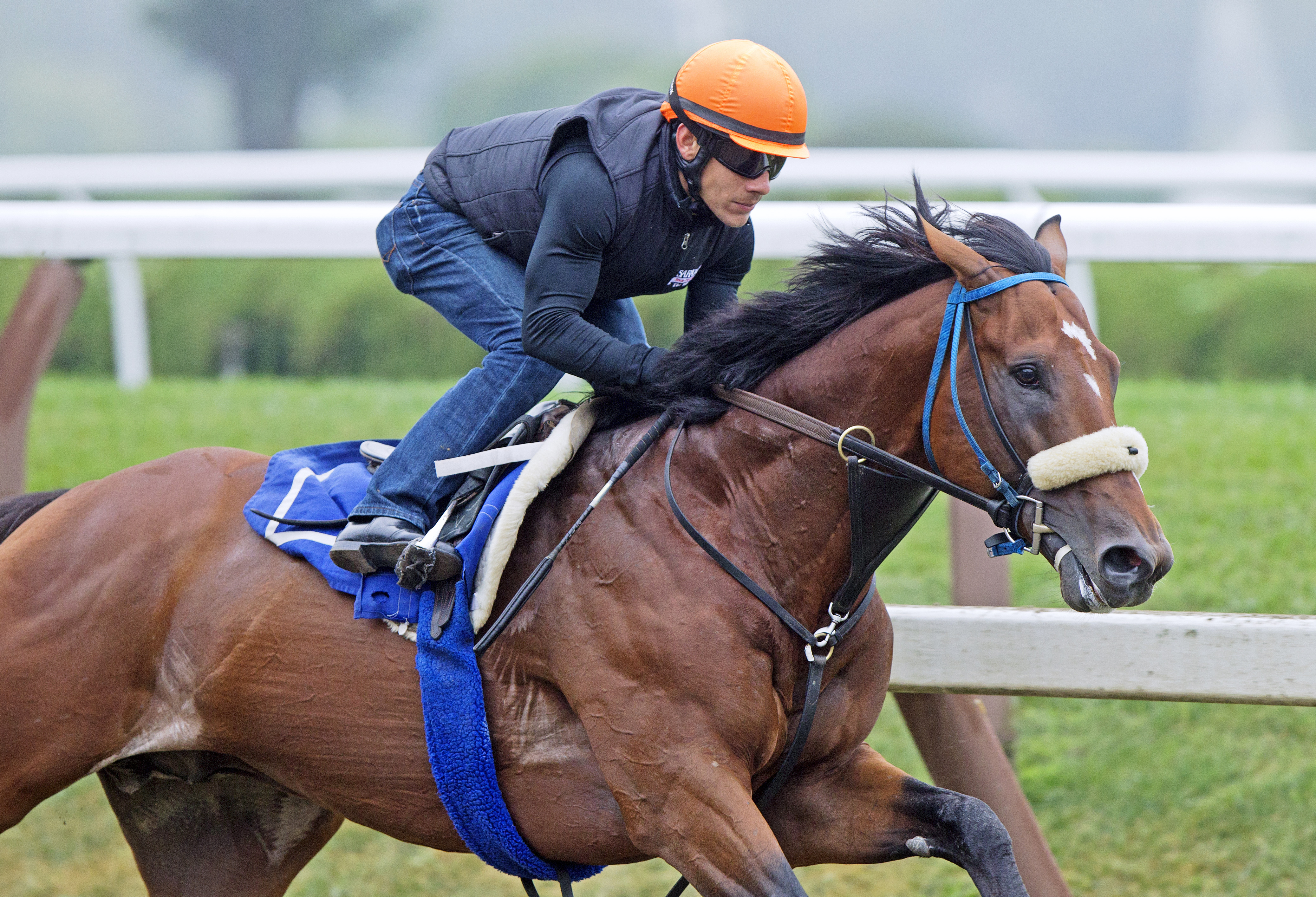 Smart Transition trains at Saratoga in August