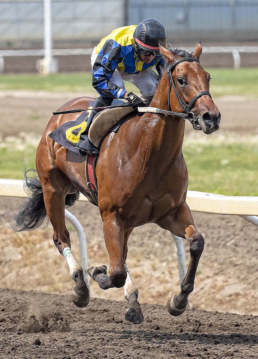 Smarty River Pants wins the 2018 Princess Margaret Stakes