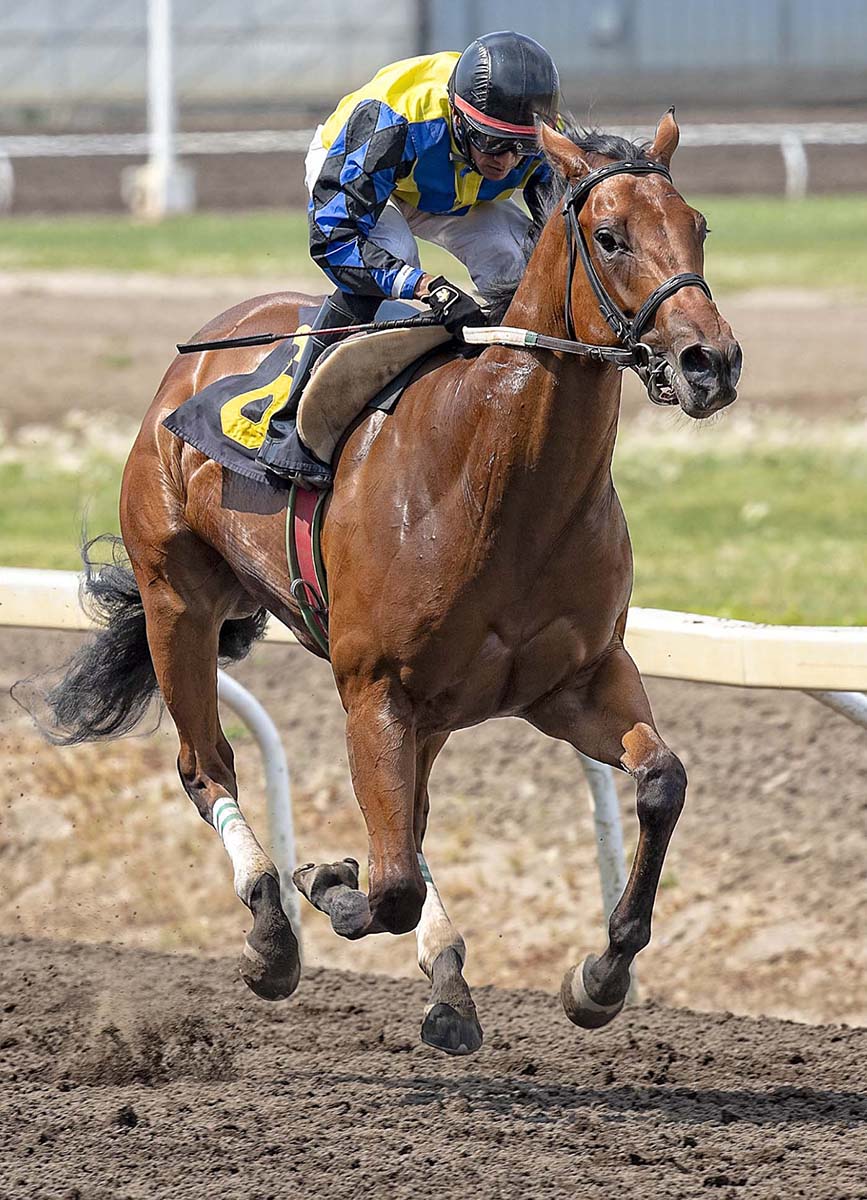 Smarty River Pants wins the 2018 Princess Margaret Stakes