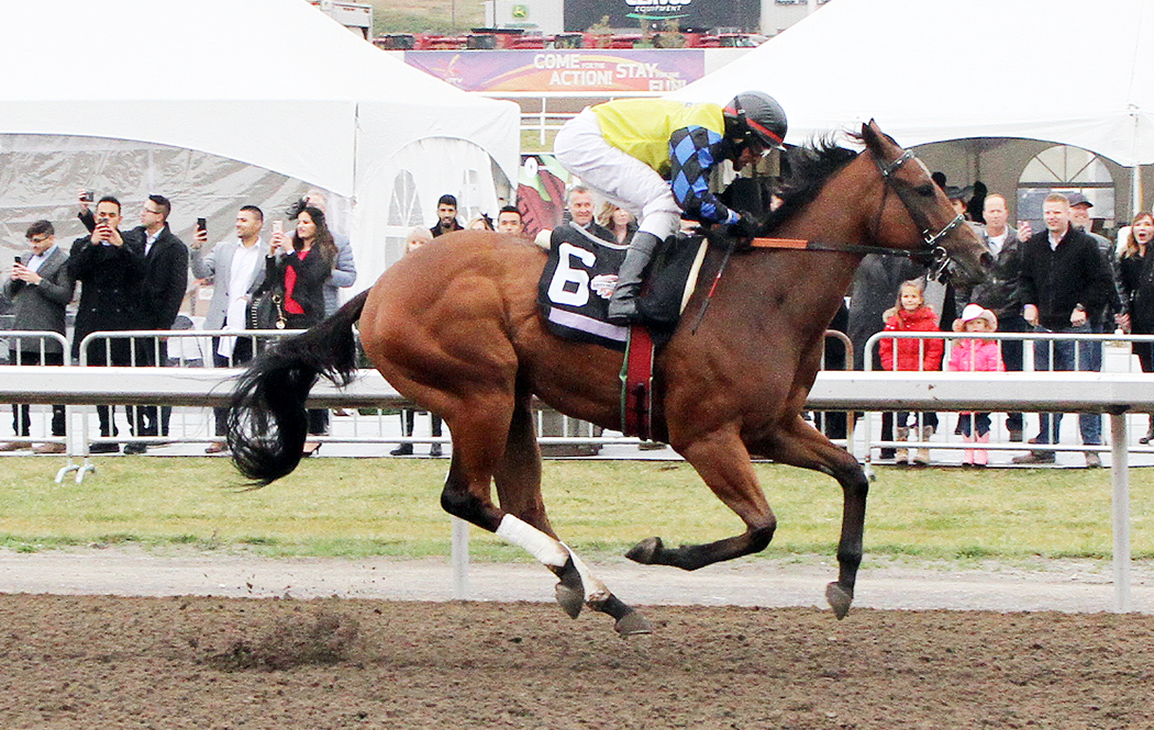 Smarty River Pants wins the 2018 Alberta Premier-s Futurity