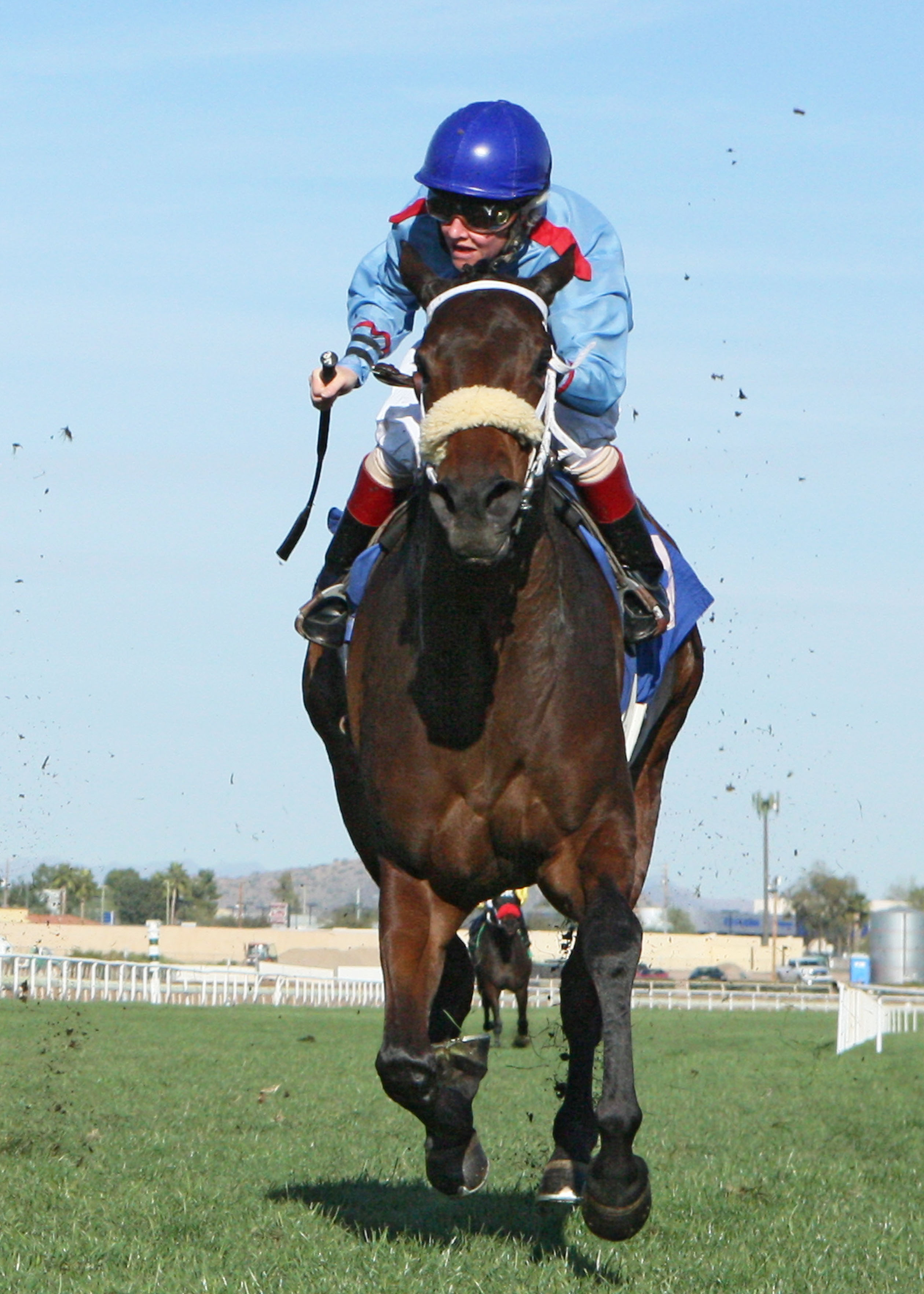 Smarty B 2-2-2013