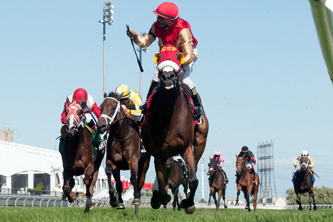 Smartyfly wins the 2013 Wonder Where Stakes at Woodbine