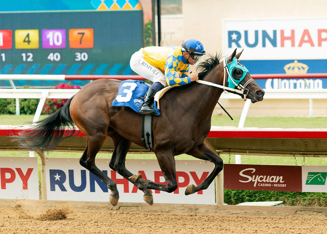 Smash Ticket wins a July 17 maiden at Del Mar