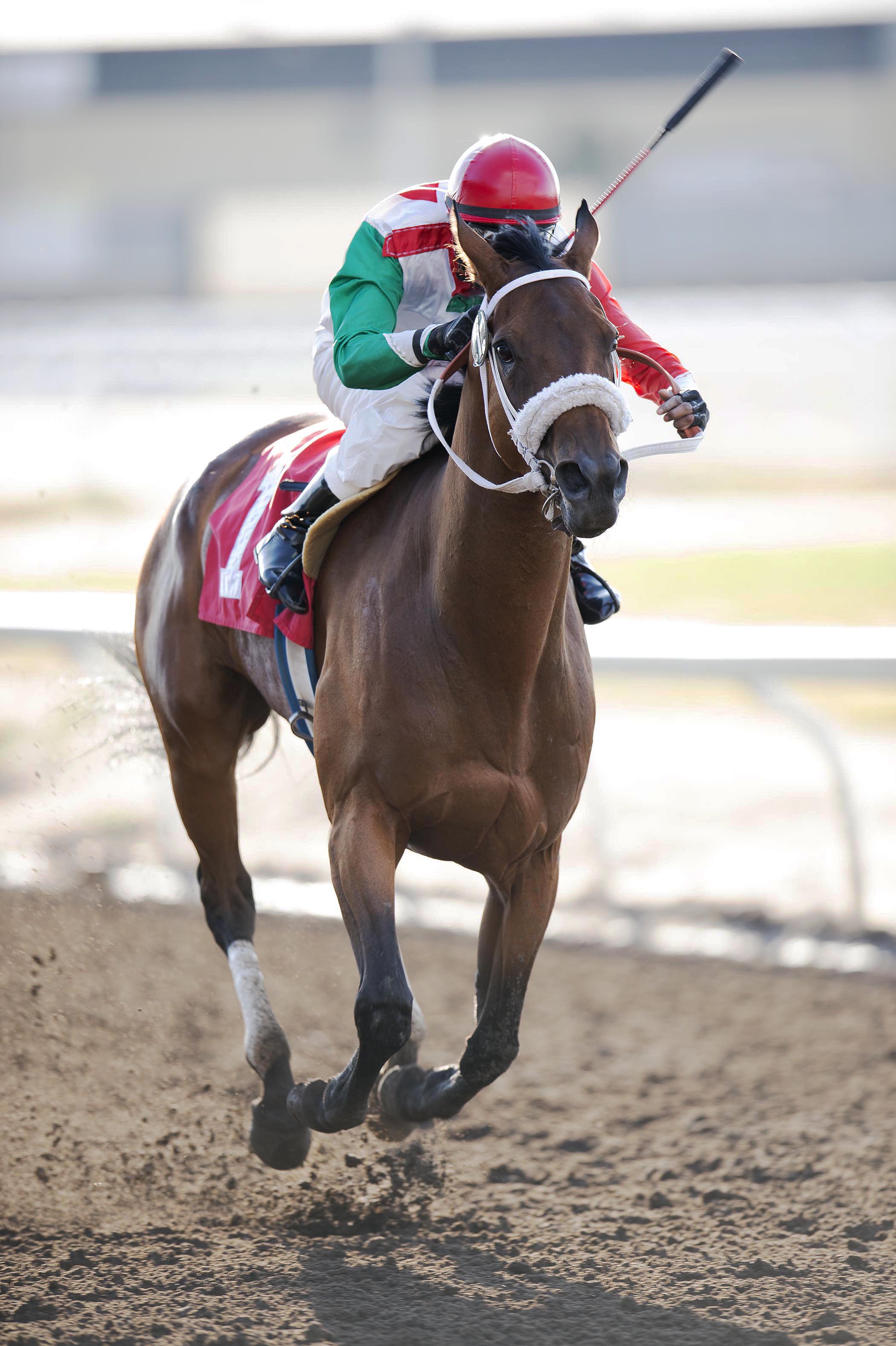 Smile Again Theta wins the Mademoiselle Stakes