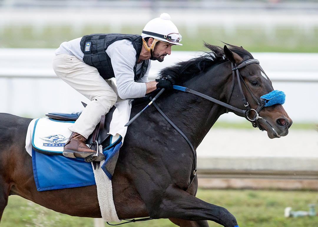 Smile Happy trains at Gulfstream Park on Jan. 23