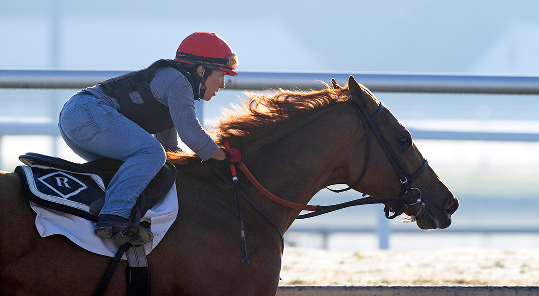 Smiley Sobotka trains at Gulfstream Park on Jan. 23