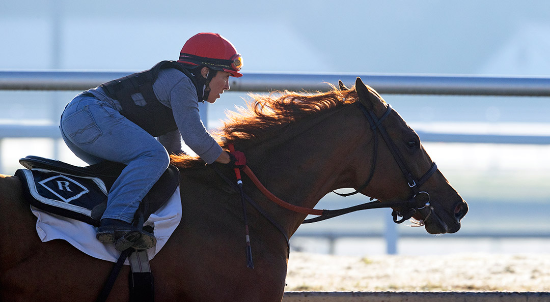 Smiley Sobotka trains at Gulfstream Park on Jan. 23
