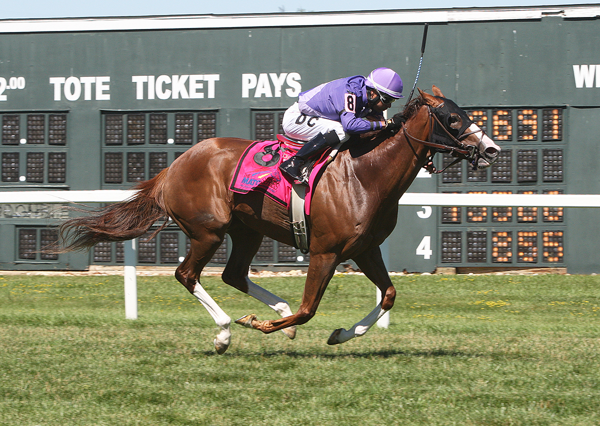 Smiling Causeway wins the 2018 Turf Amazon