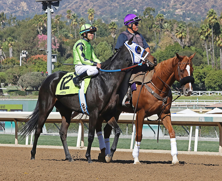 Smiling Shirlee at the Golden State Juvenile Fillies at Santa Anita Park