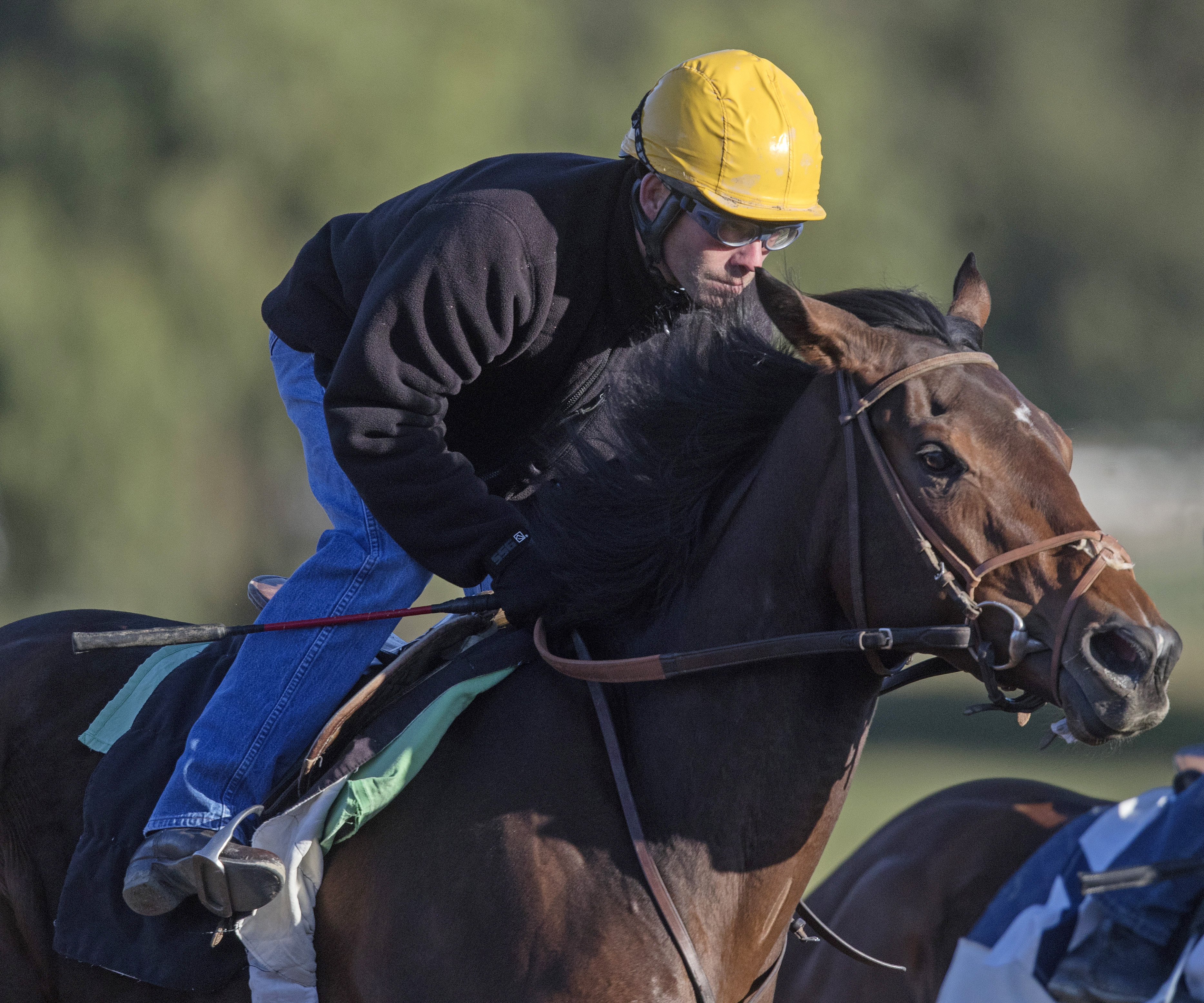 Smiling Tigress trains at Santa Anita on Feb. 23