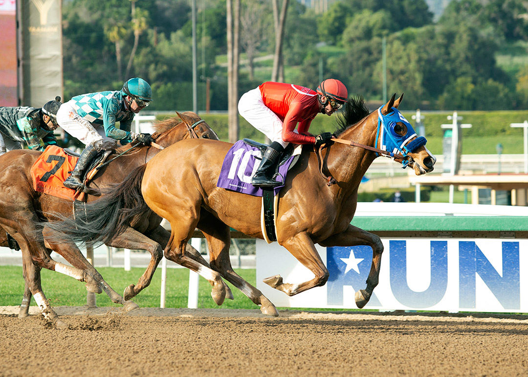 Smitten by Kitten wins a Feb. 20 allowance optional claimer at Santa Anita