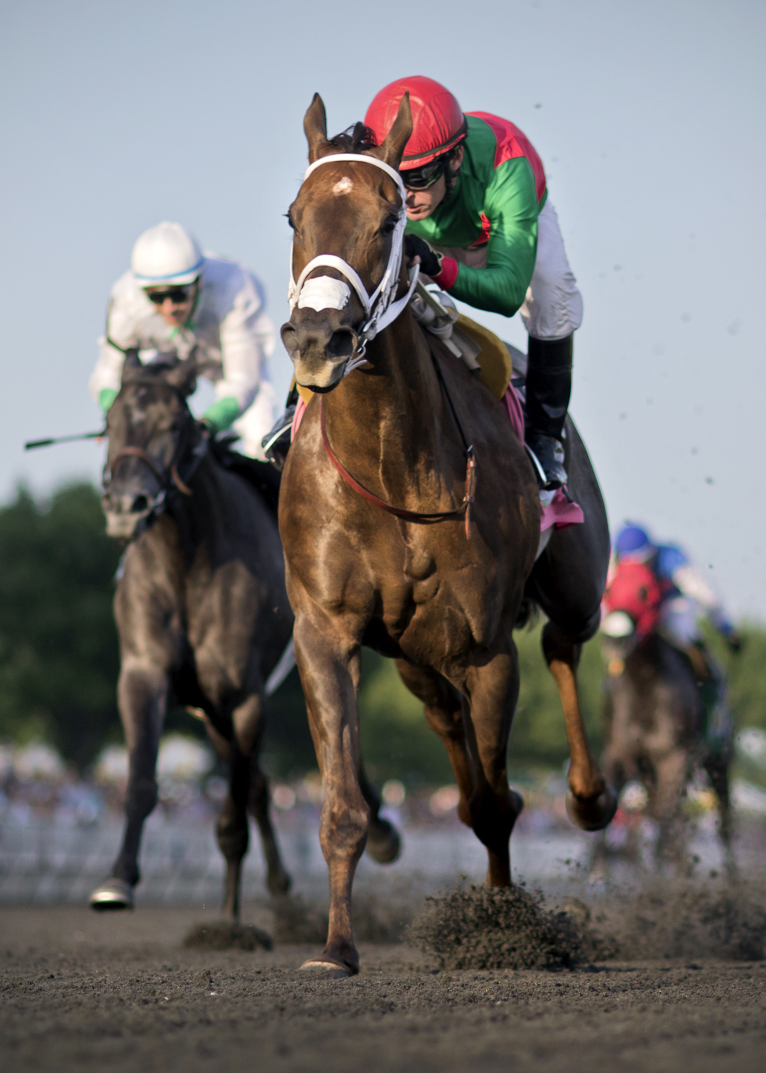 Smoke 'n' Gloat wins the 2017 Springfield Stakes