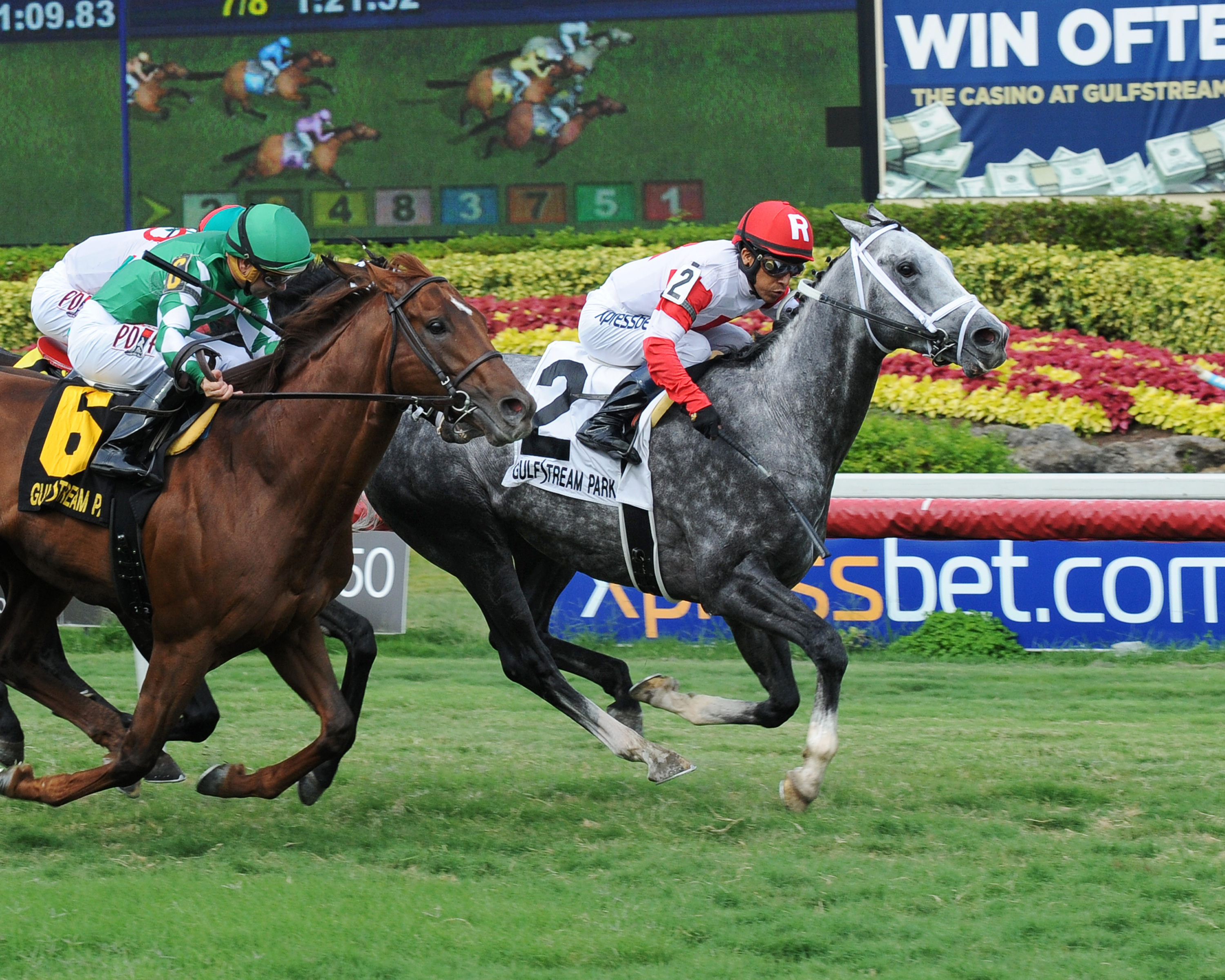 Smokem Kitten wins the Miami Mile