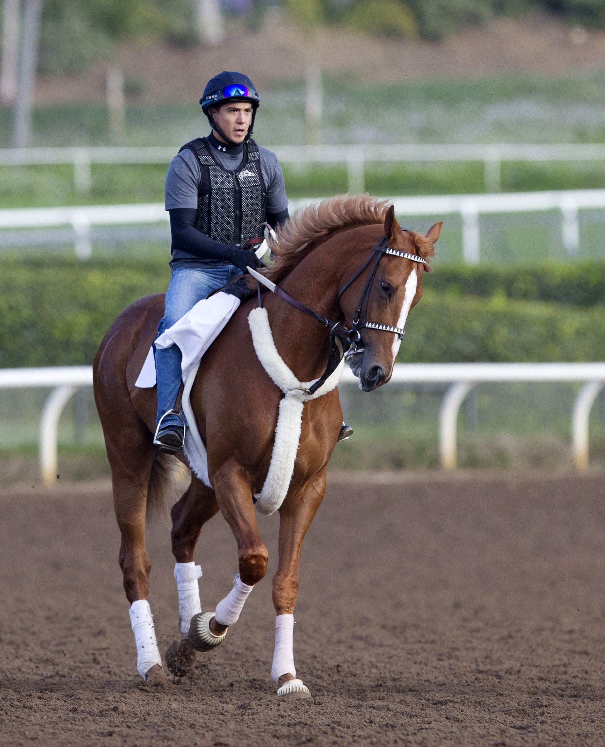 Smokey Image at Santa Anita on March 11