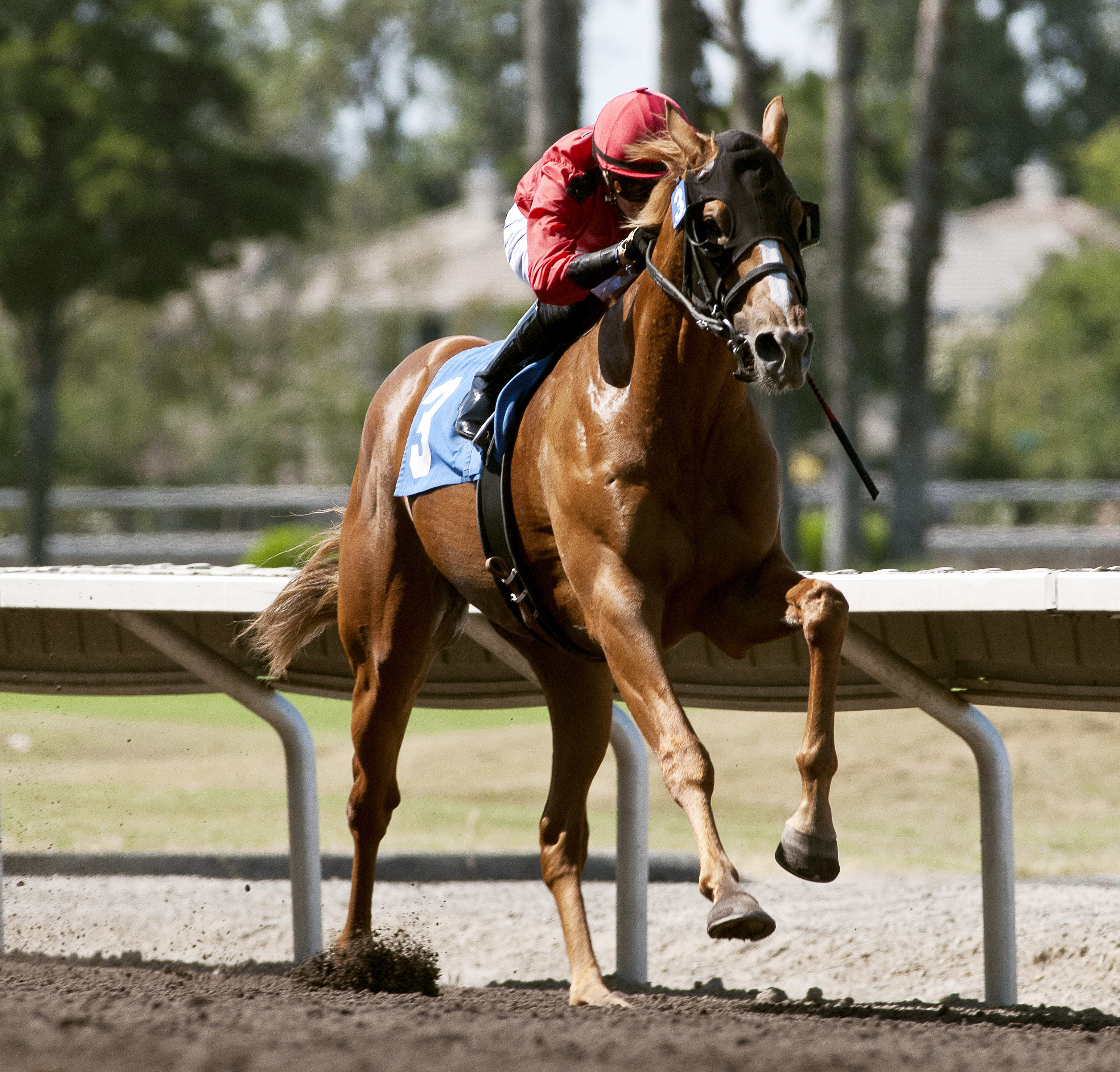 Smokey Image wins the Everett Nevin Stakes