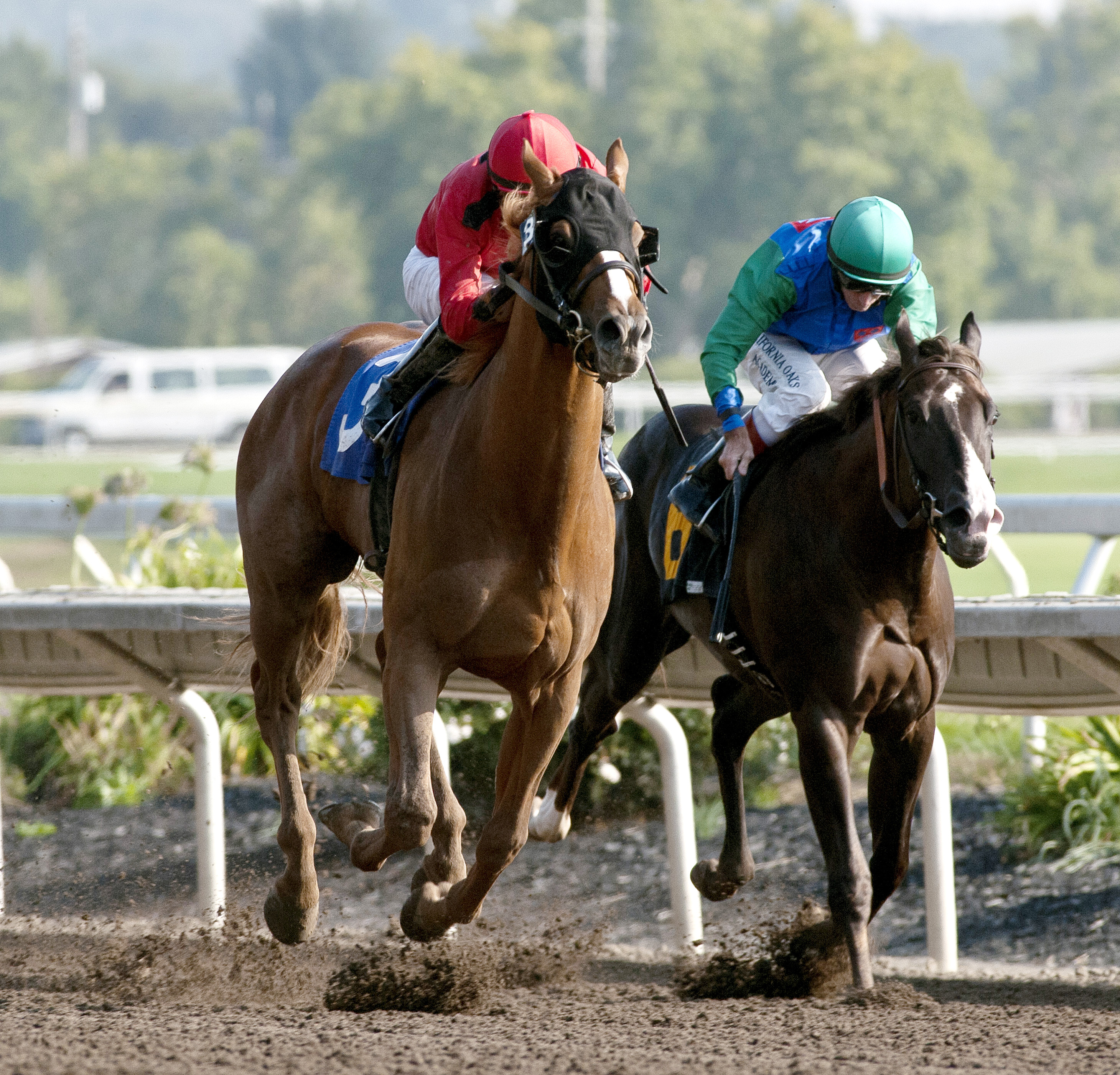 Smokey Image wins the Cavonnier Juvenile Stakes