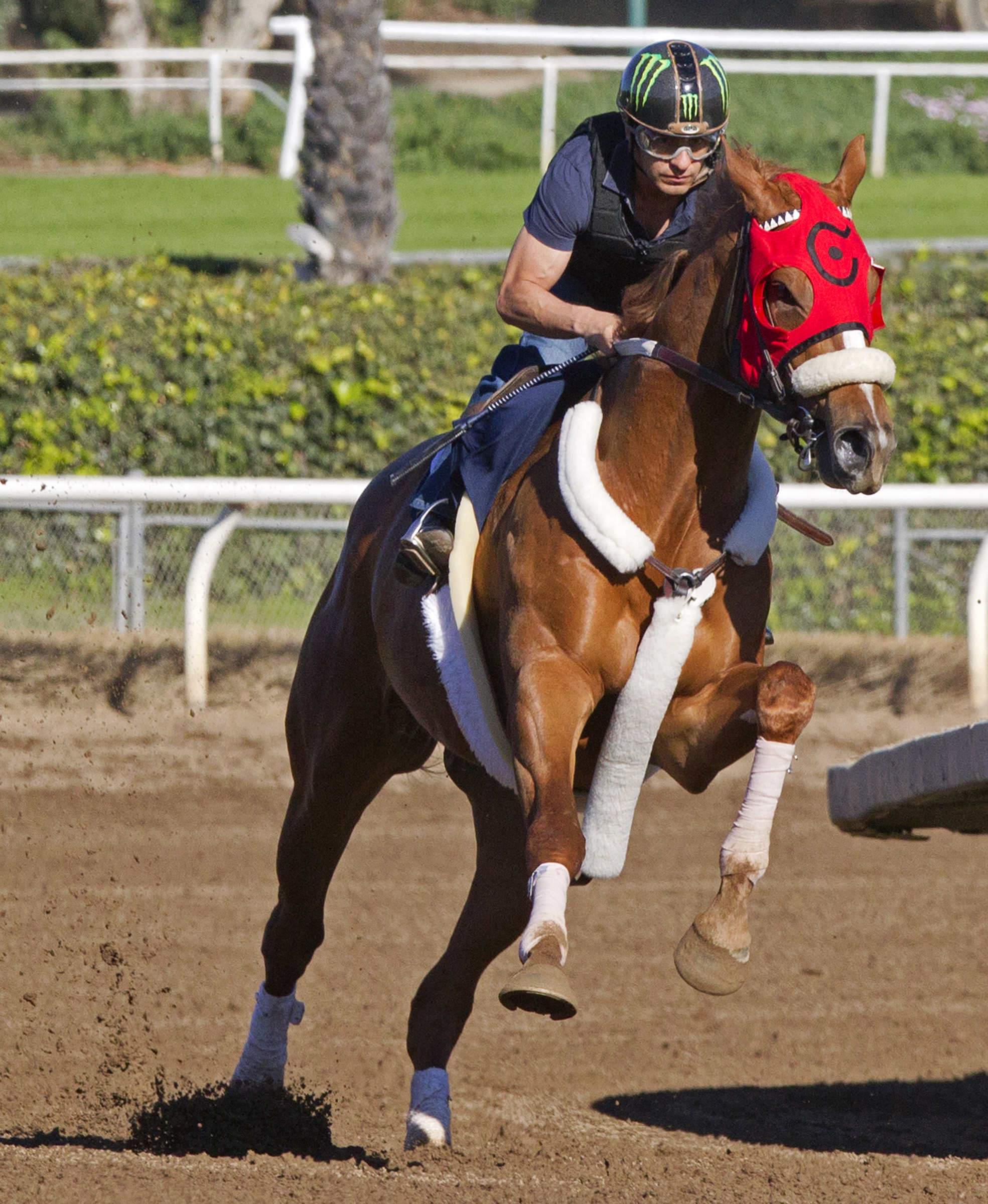 Smokey Image trains on Feb. 15