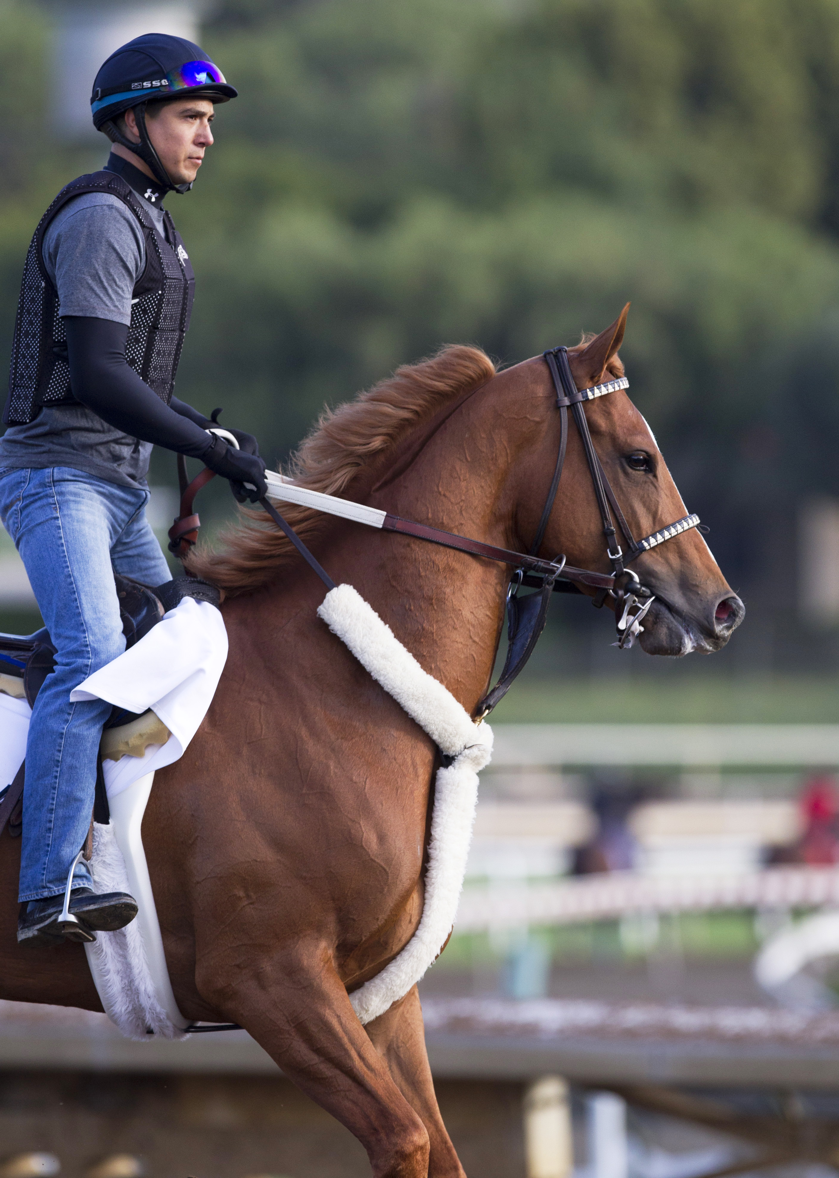 Smokey Image at Santa Anita on March 11