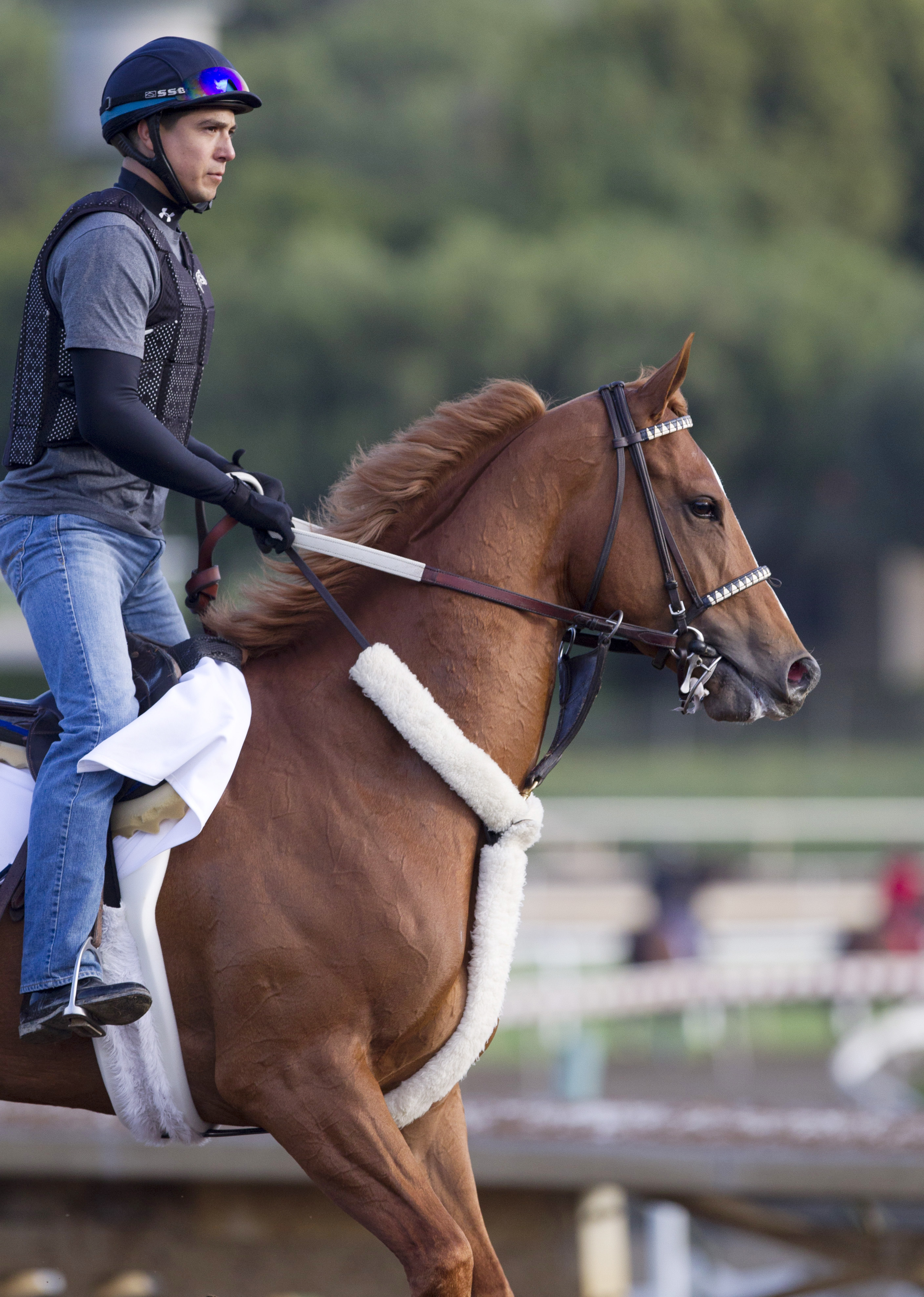 Smokey Image trains at Santa Anita on March 11