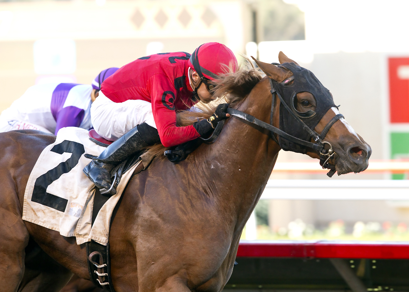 Smokey Image wins the Golden State Juvenile Stakes