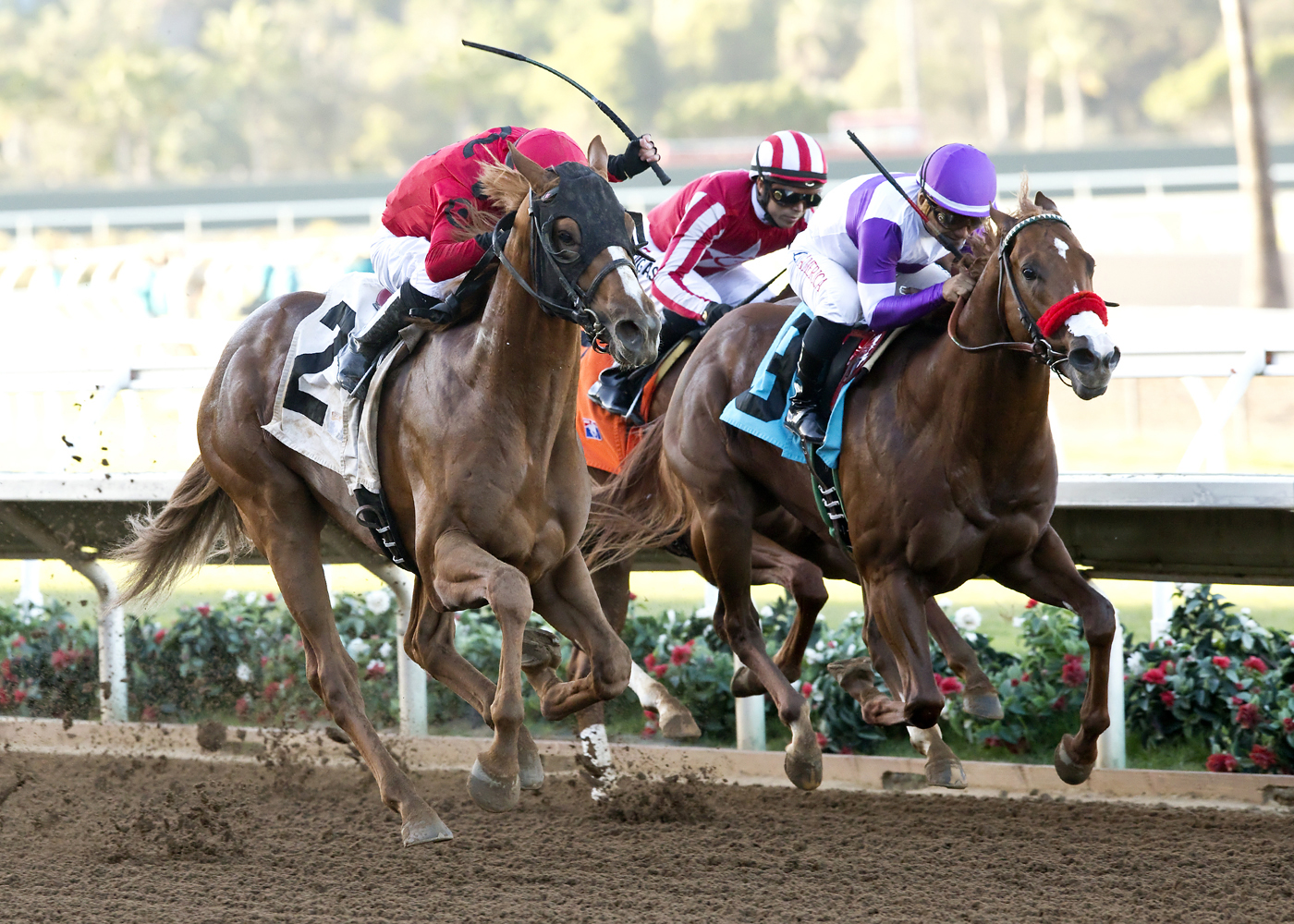 Smokey Image wins the Golden State Juvenile Stakes