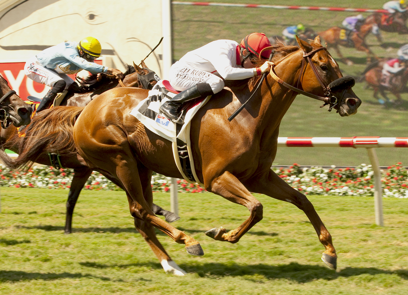 Smokey Lonesome wins a claiming race