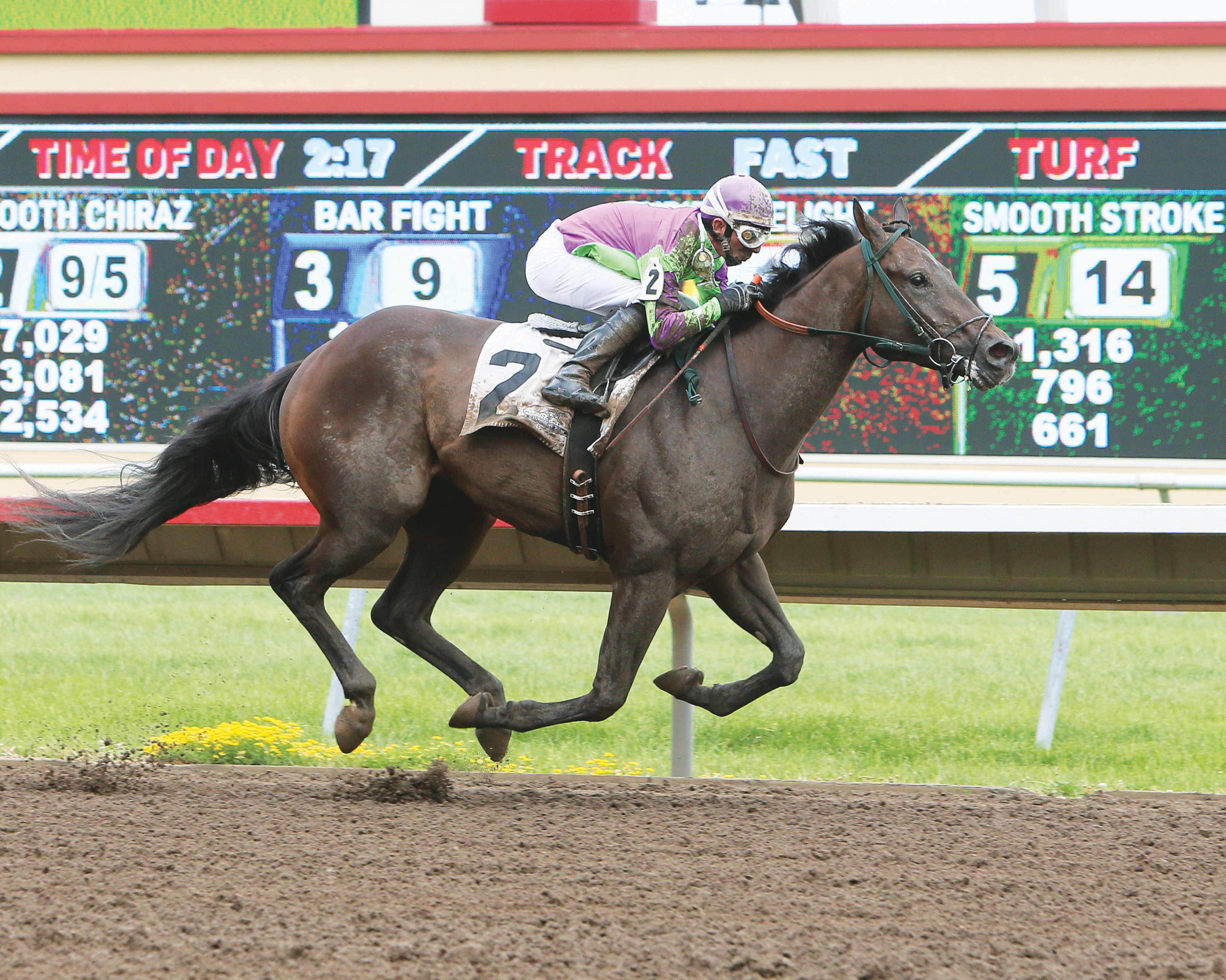 Smooth Chiraz wins the Victor S. Myers Stakes