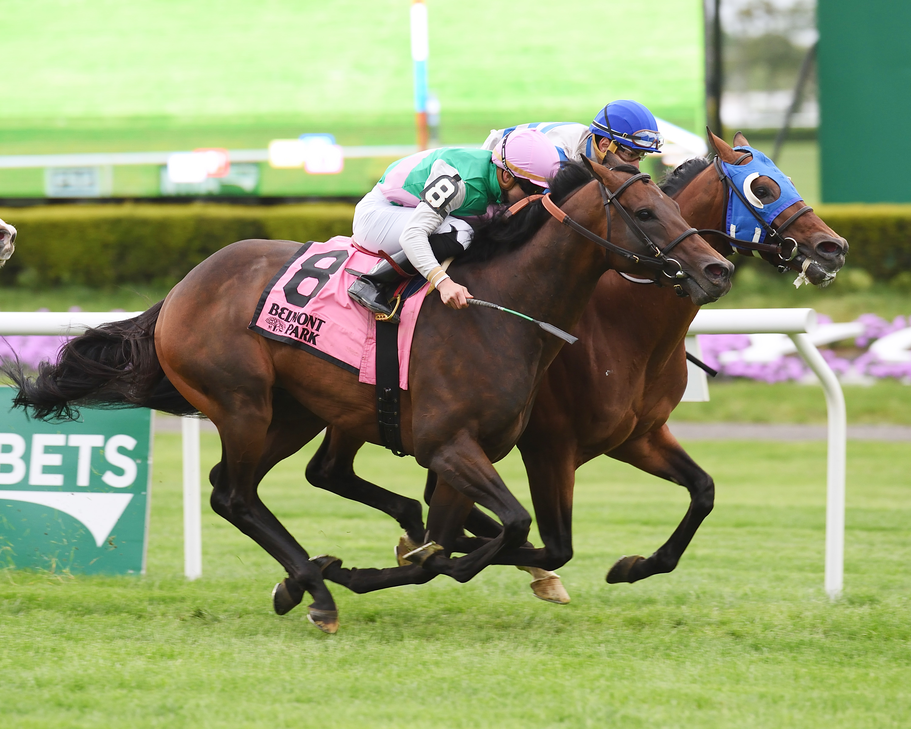 Time Test finishes second in the Fort Marcy