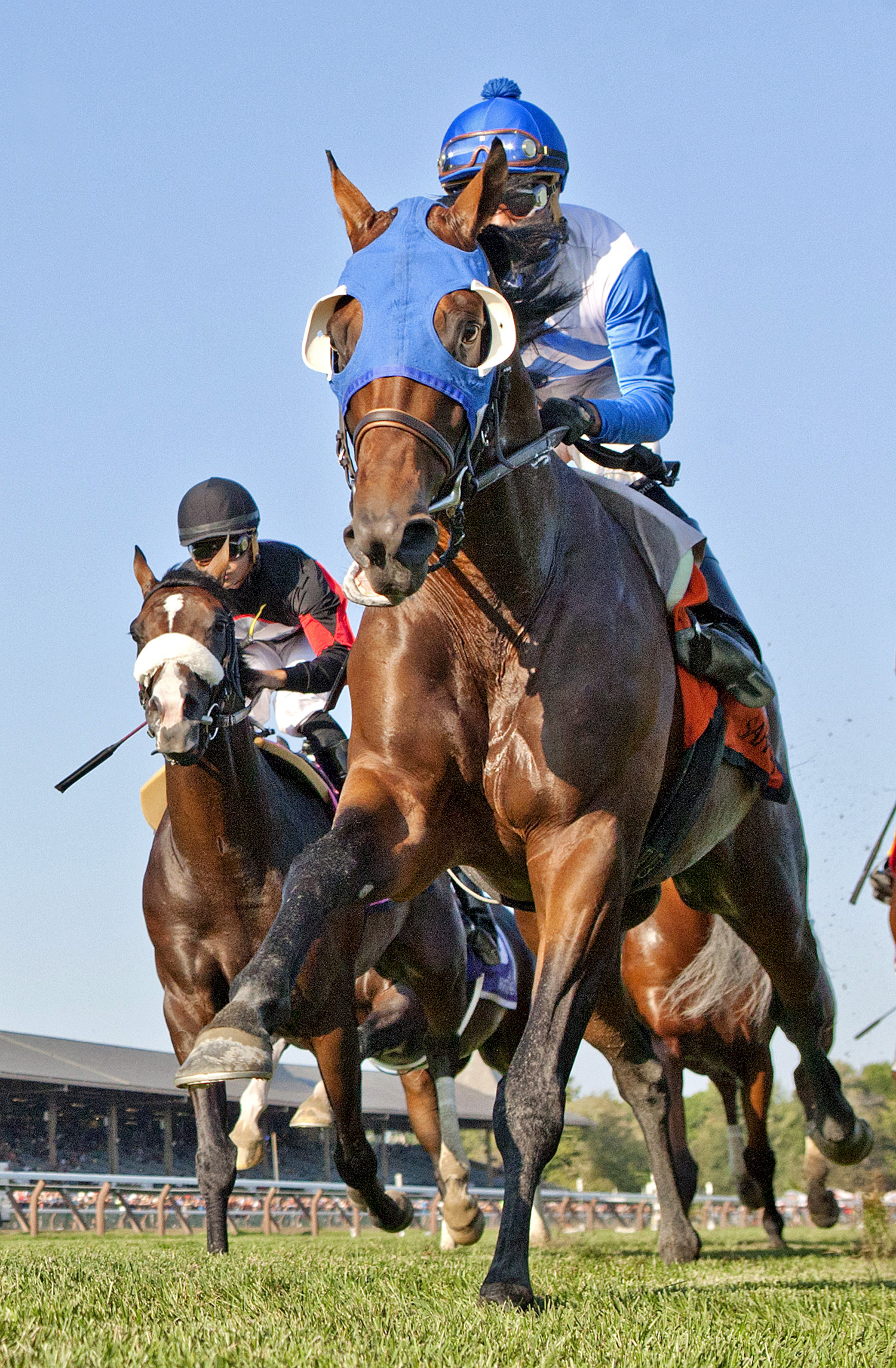 Smooth Daddy finishes second in the Saranac Stakes