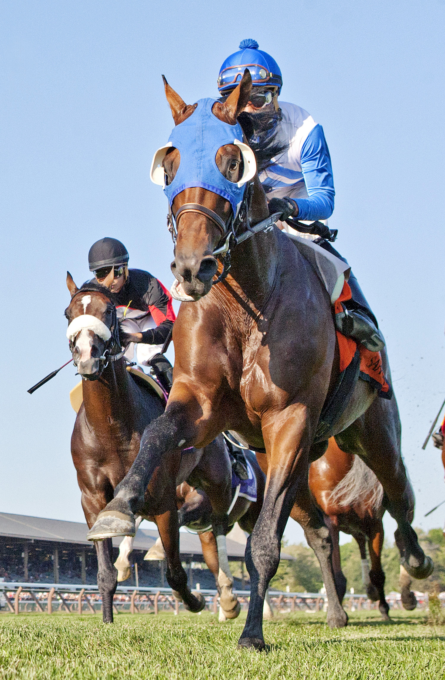 Smooth Daddy finishes second in the Saranac Stakes